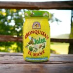 Bronquisan adulto 240 ml